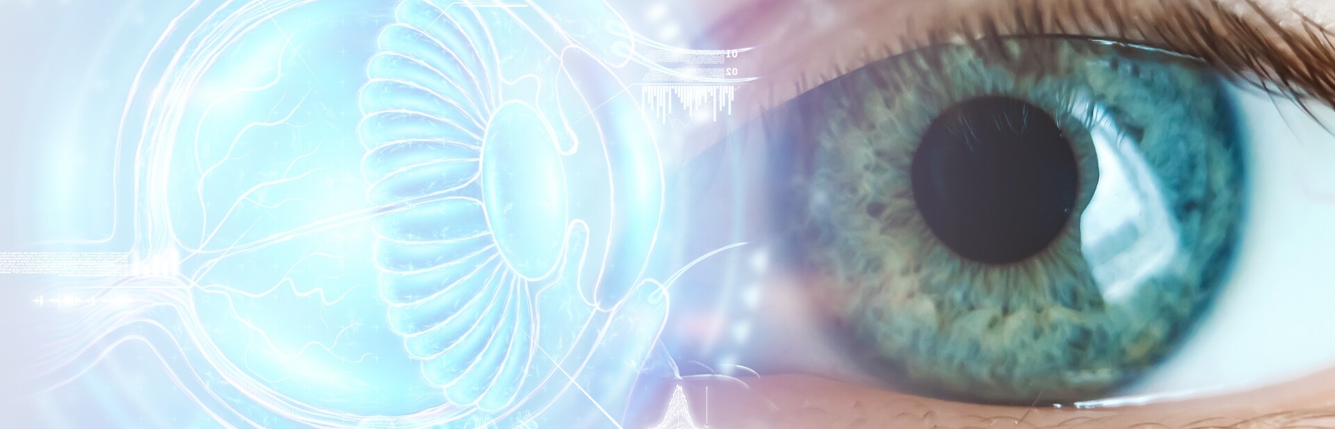 banner-home